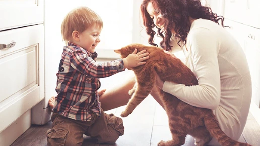 Espaço Sognare Design