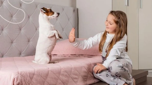 Espaço Sognare Design