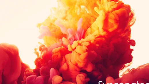 Espaço Sognare Design