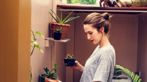 Espaço Sognare Design